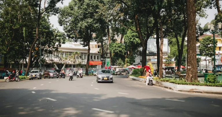 Leafy central Ho Chi Minh City street with villas and apartment blocks