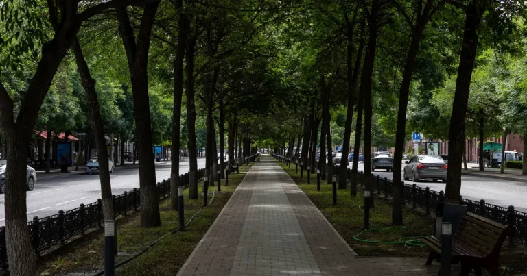 Tree-lined walkable street with shops and apartment towers in HCMC